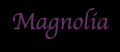 Magnolia